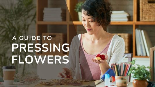 A Guide to Pressing Flowers