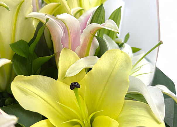 Sunrise Radiance Mixed Flower Bouquet