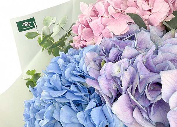 Tranquil Harmony Mixed Flower Bouquet