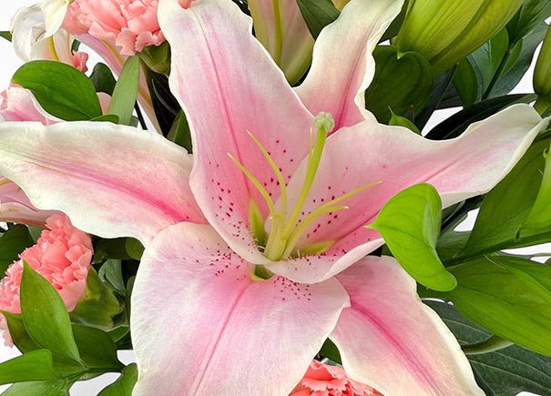 Tabletop Grace Mixed Flower Arrangement