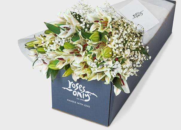 White Lilies With Baby's Breath Gift Box (MDGROA76)