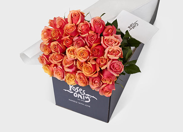 Cherry Brandy Roses Gift Box 36 (ROA06-036)