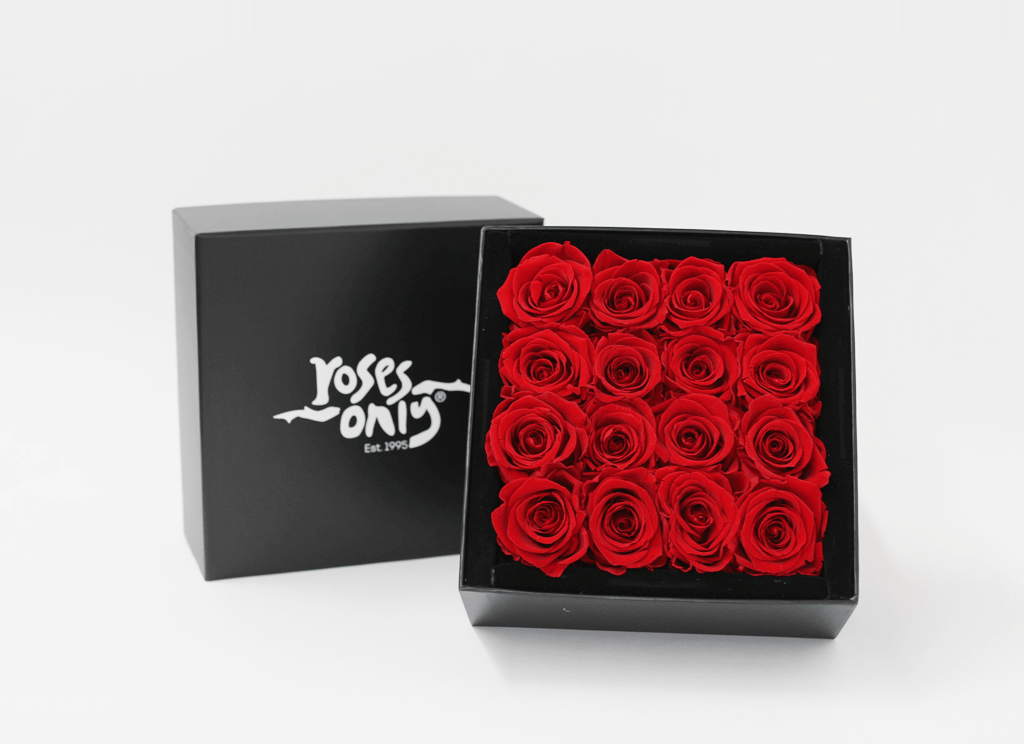 Red Infinity Preserved Roses 16 (ROA13-016)