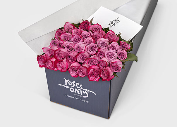 MauveTwo-Toned Roses Gift Box 36 (ROA05-036)
