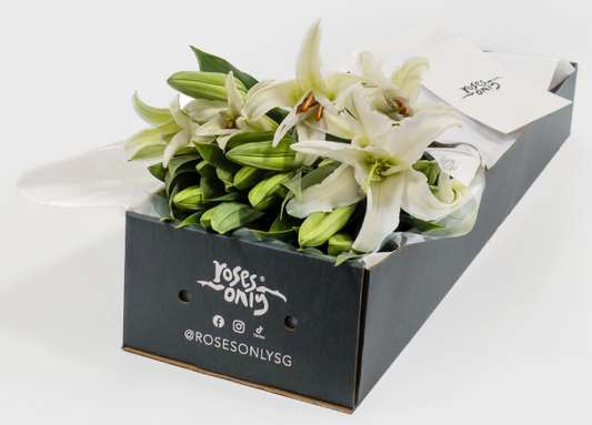 White Lilies Gift Box (ROA32)