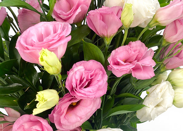 Petal Waltz Mixed Flower Arrangement