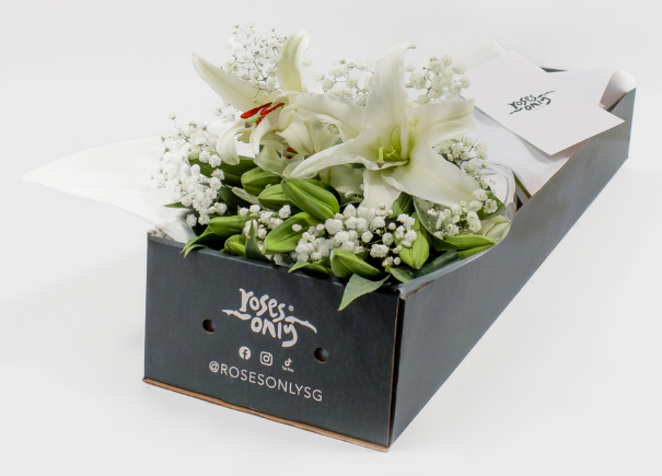 White Lilies With Baby's Breath Gift Box (ROA76)