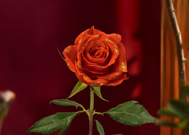 Imperial Gold Signature Rose Gift Box (ROACTJ02)