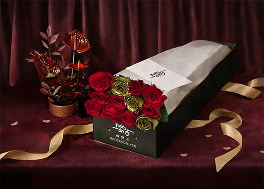Valentine’s Day Eternal Love Red Rose Gift Box 12 (ROAVJ39-012)
