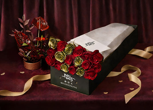 Valentine’s Day Eternal Love Red Rose Gift Box 18 (ROAVJ39-018)