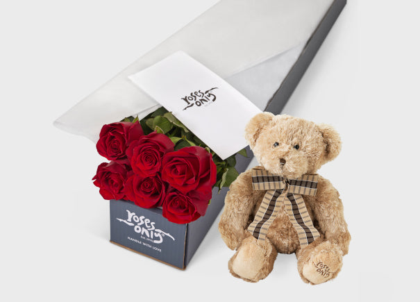 Red Roses Gift Box 6 & Teddy Bear (ROA26-006)