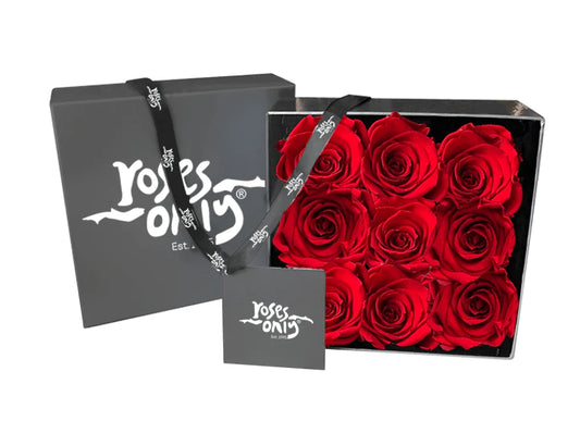 Valentine's Day Red Infinity Preserved Roses 9 (VFROA13-009)