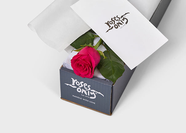 Bright Pink Rose Gift Box Single (ROA03-001)