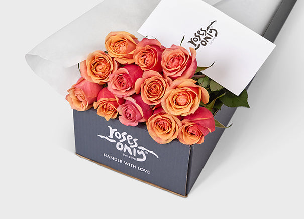 Cherry Brandy Roses Gift Box 12 (ROA06-012)