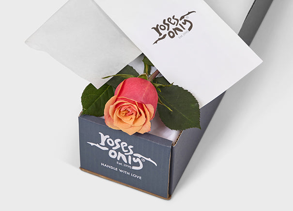 Cherry Brandy Rose Gift Box Single (ROA06-001)
