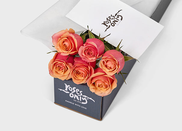 Cherry Brandy Roses Gift Box 6 (ROA06-006)