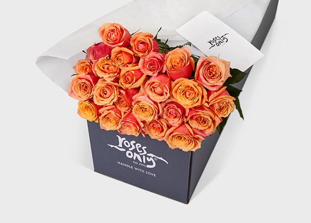 Cherry Brandy Roses Gift Box 24 (ROA06-024)
