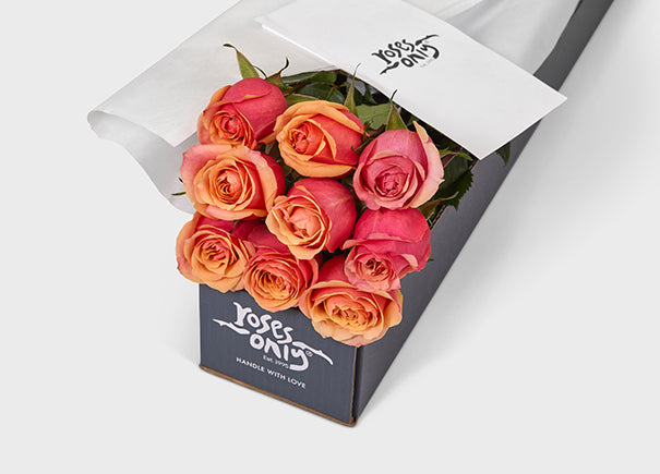 Cherry Brandy Roses Gift Box 9 (ROA06-009)