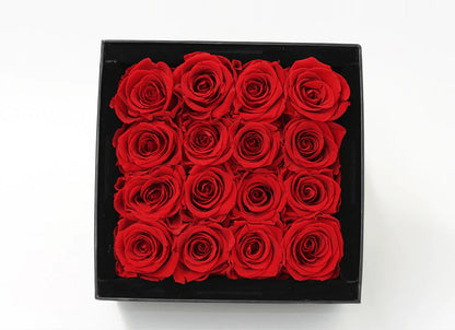 Valentine's Day Red Infinity Preserved Roses 16 (VFROA13-016)
