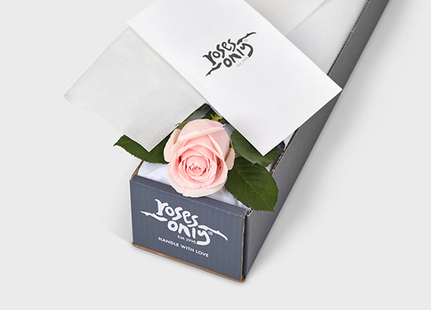Single Pastel Pink Rose Gift Box | Roses Only SG – Roses Only Singapore
