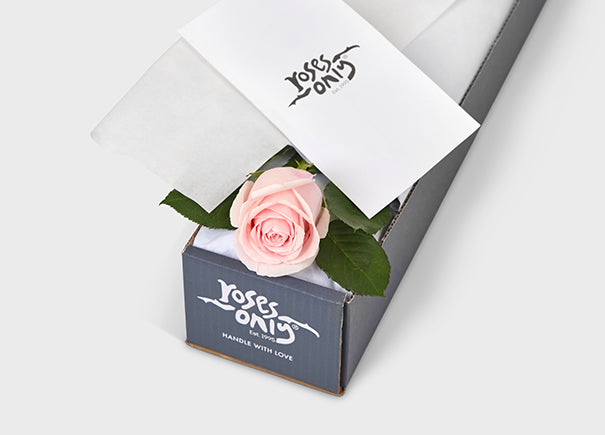 Pink Rose Gift Box Single (ROA02-001)