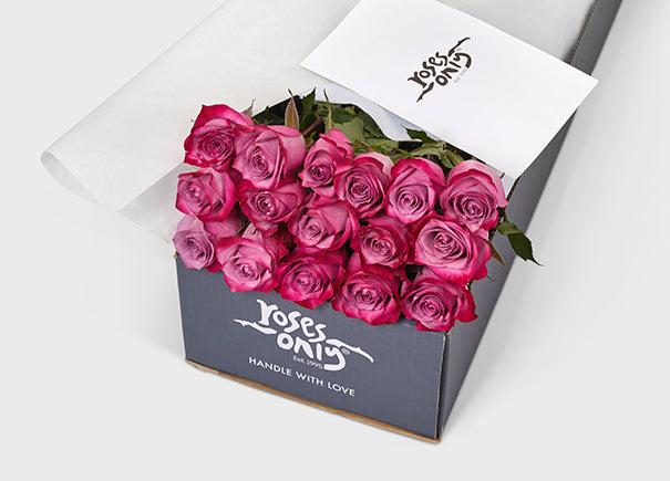 Mauve Two-Toned Roses Gift Box 16 (ROA05-016)