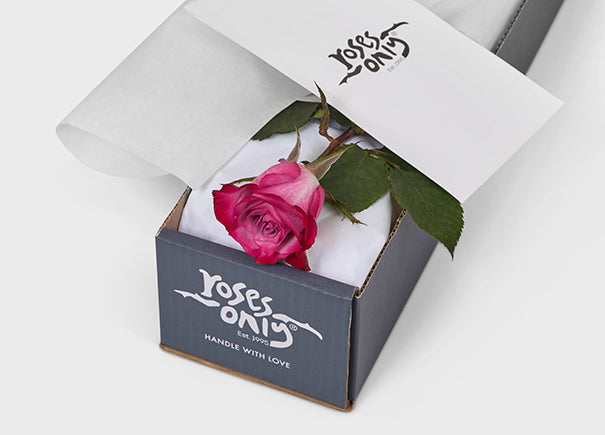 Mauve Two-Toned Rose Gift Box Single (ROA05-001)