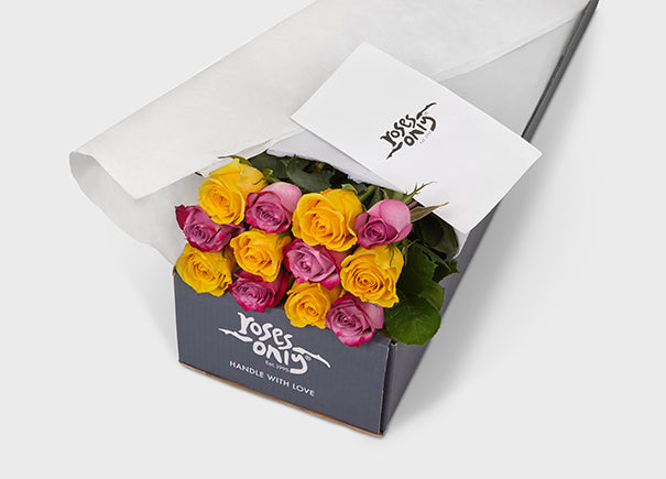 Mixed Mauve Purple And Yellow Roses Gift Box (ROA139)