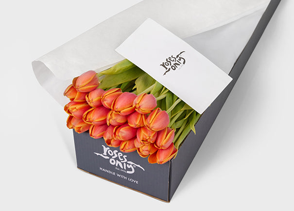 Orange Tulips Gift Box (ROA158)