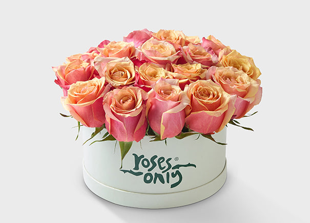24 Cherry Brand Roses in a Hat Box (ROA161-024)