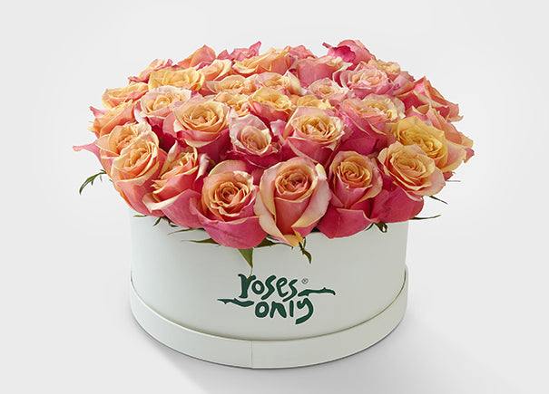 36 Cherry Brandy Roses in a Hat Box (ROA161-036)