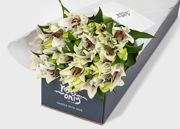 White Lilies Gift Box (ROA32)