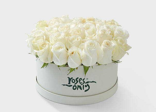 36 White Roses in a Hat Box (ROA42-036)