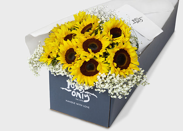 Baby's Breath With Sunflowers Gift Box (ROA68)