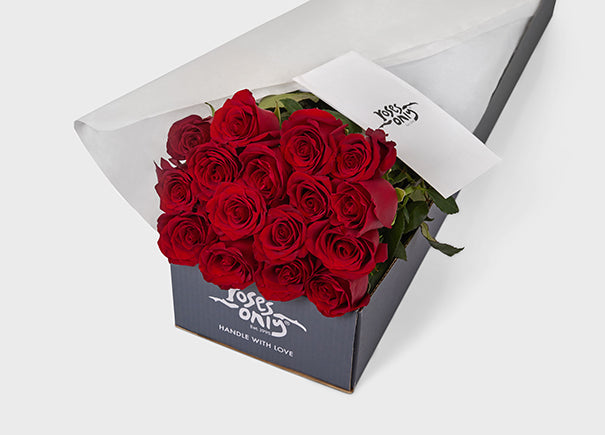 Red Roses Gift Box 16 (ROA01-016)