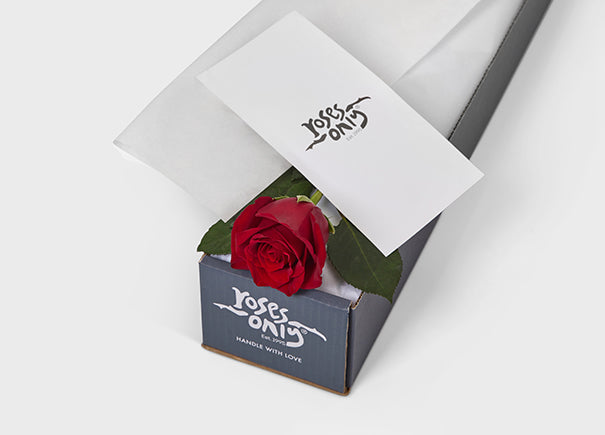 Single Red Rose Gift Box | Roses Only SG