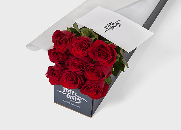 Red Roses Gift Box 9 (ROA01-009)