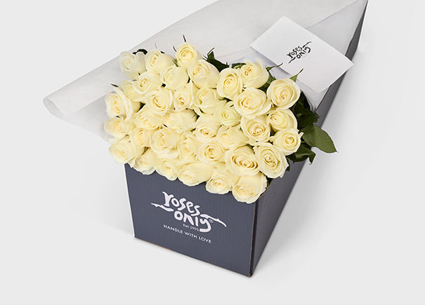 36 White Cream Roses Gift Box | Roses Only SG – Roses Only Singapore