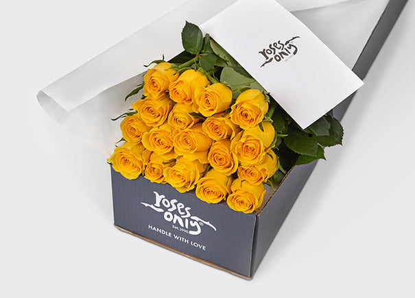 Yellow Roses Gift Box 18 (ROA07-018)