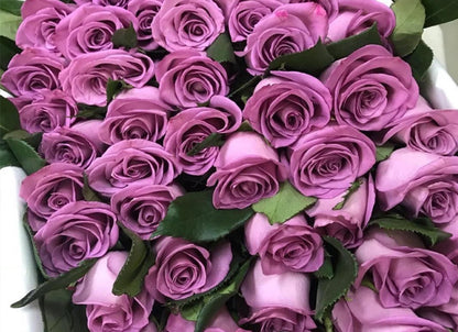 Birthday Roses