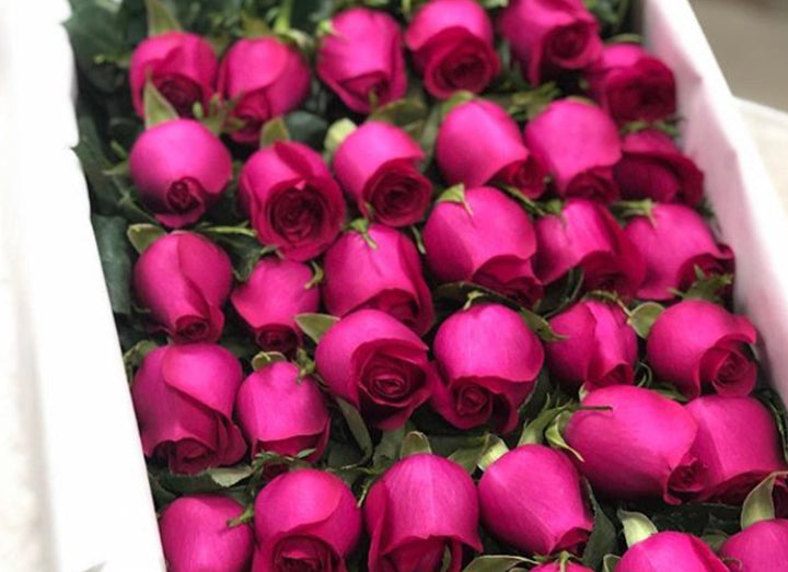 Bright Pink Roses Gift Box 49